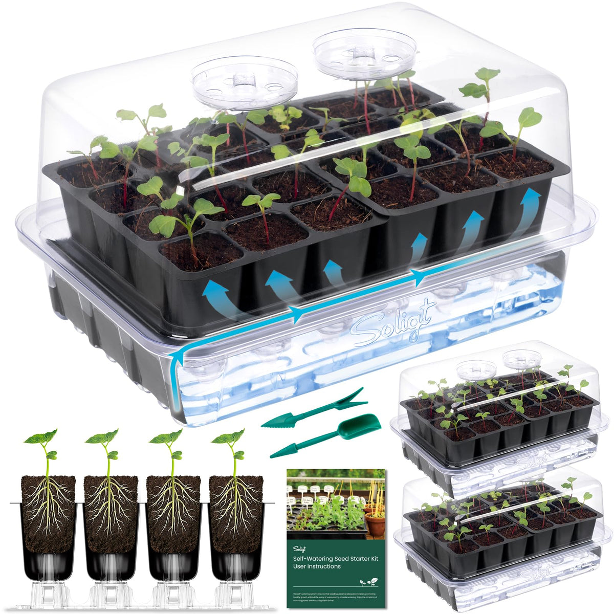 SOLIGT self-watering seed starter tray with clear bottom for easy moisture monitoring.
