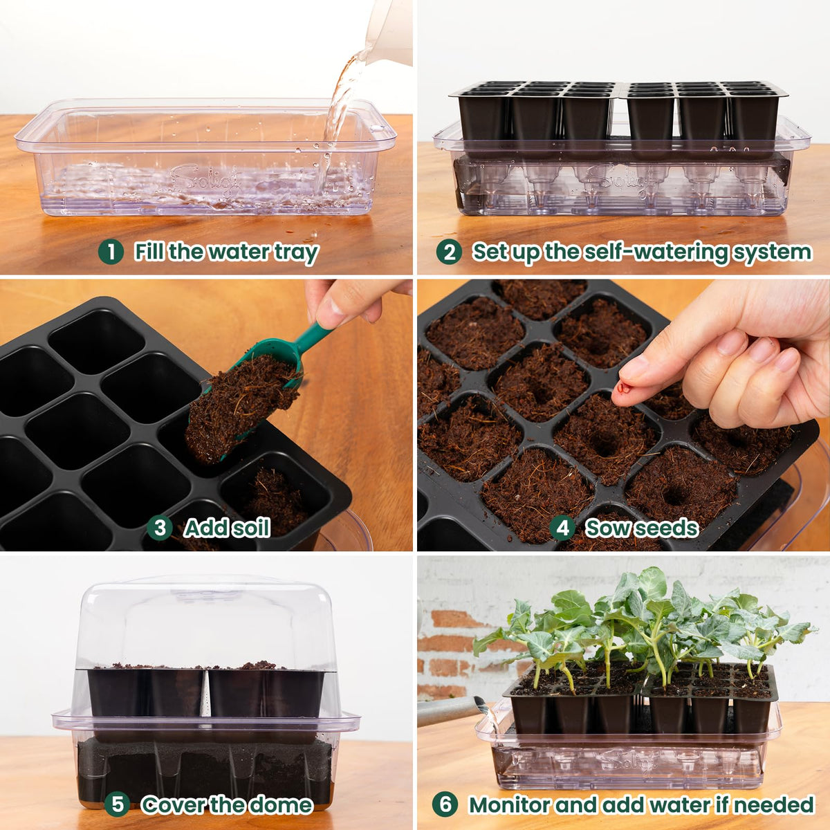 Sturdy SOLIGT support stands stabilize trays and simplify transplanting.