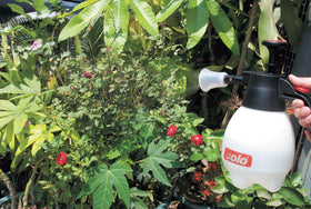 Solo 418 sprayer 1 liter tank for easy use.