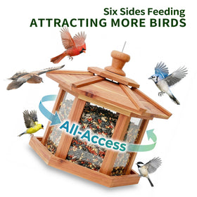 Solution4Patio cedar hexagon feeder mesh tray detail with dry seeds