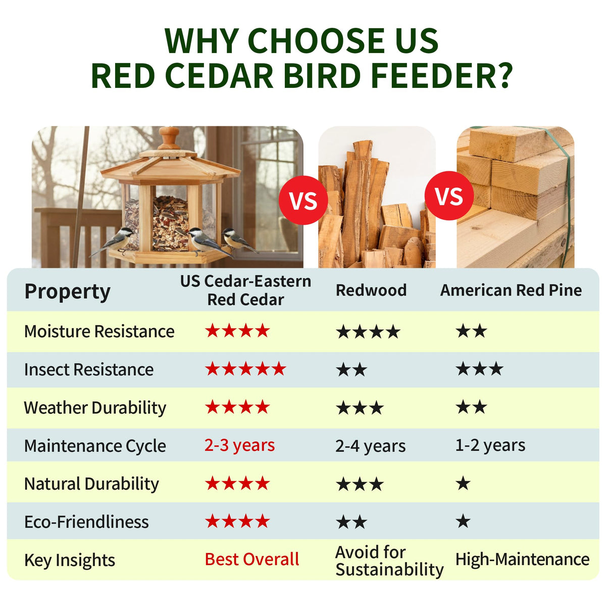 Solution4Patio bird feeder close-up of vented mesh tray for drainage and seed freshness