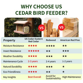 Solution4Patio cedar hopper feeder clear view windows enhance bird watching.