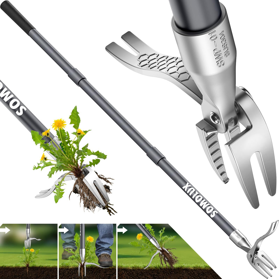 SOMOLUX 52-inch stand-up weed puller in action for easy lawn maintenance.