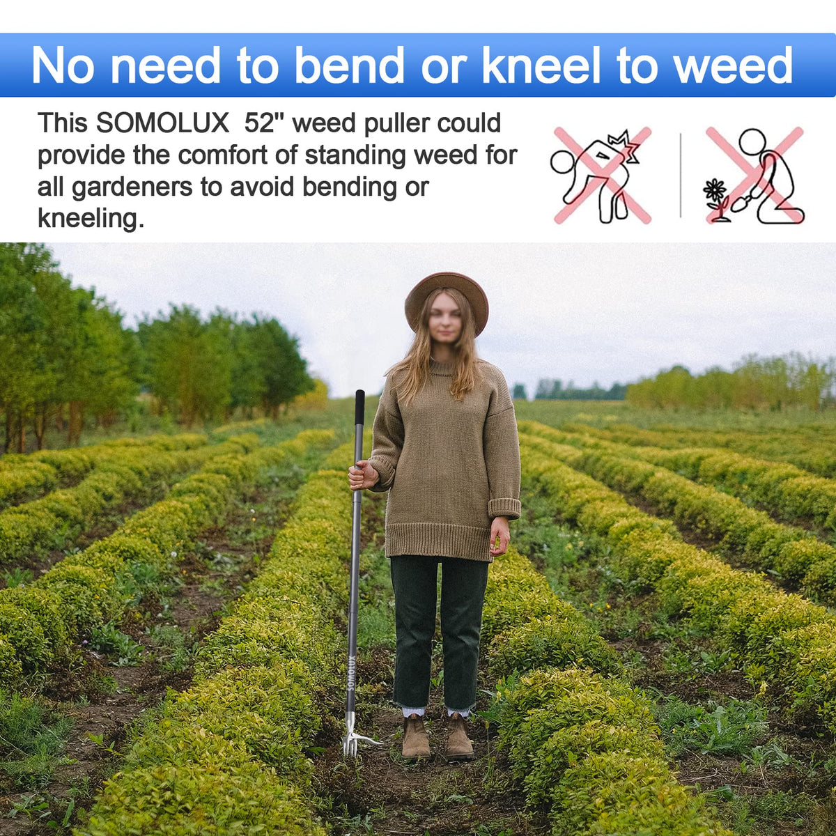 SOMOLUX environmentally friendly weed control using durable stainless steel.