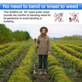 SOMOLUX environmentally friendly weed control using durable stainless steel.