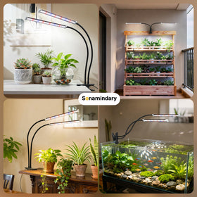 Sonamindary five level dimming helps tailor brightness.