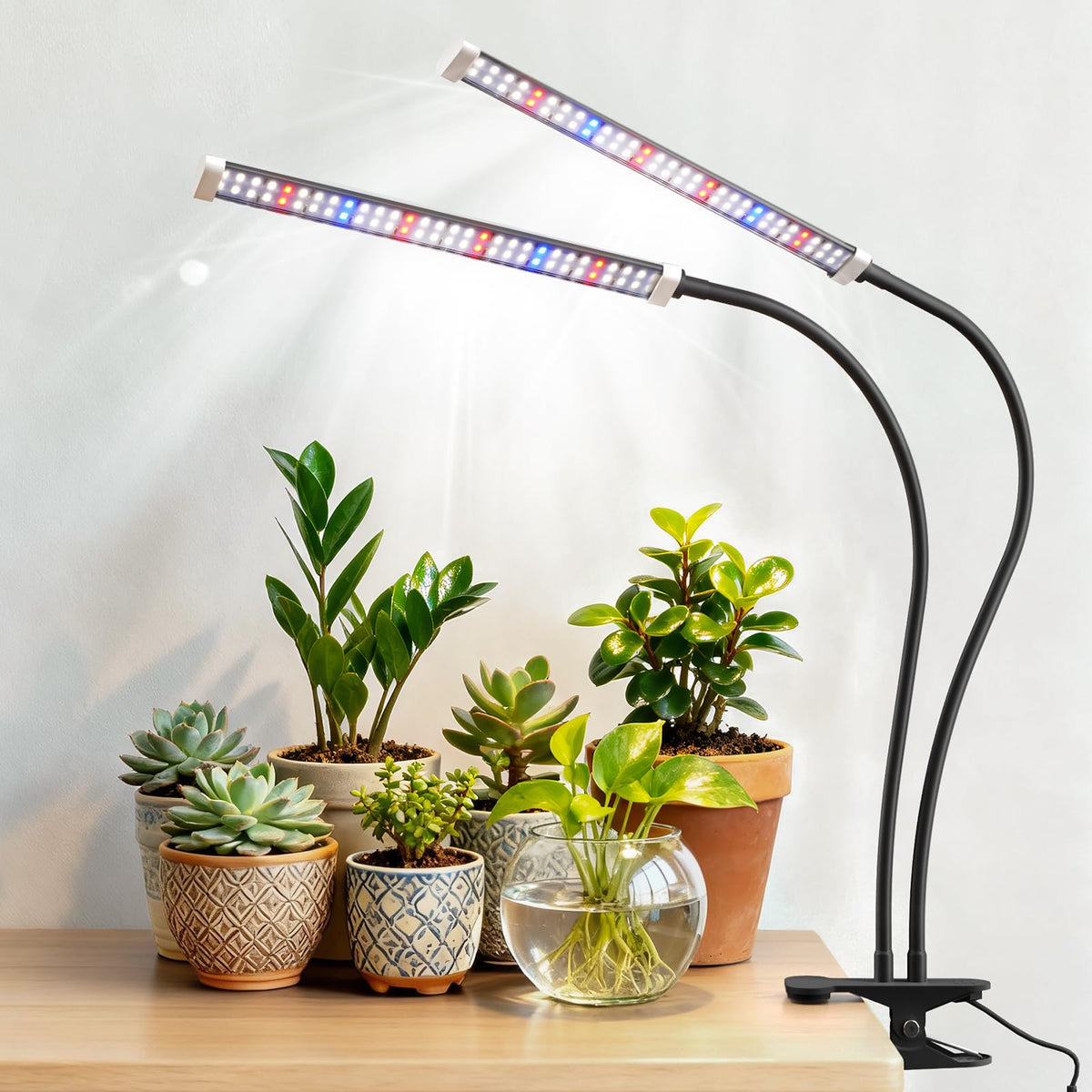 Sonamindary full-spectrum 120 LED panel supports indoor plant growth.