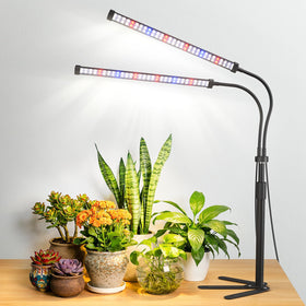Sonamindary full-spectrum grow light enhances indoor plant growth with balanced spectrum.
