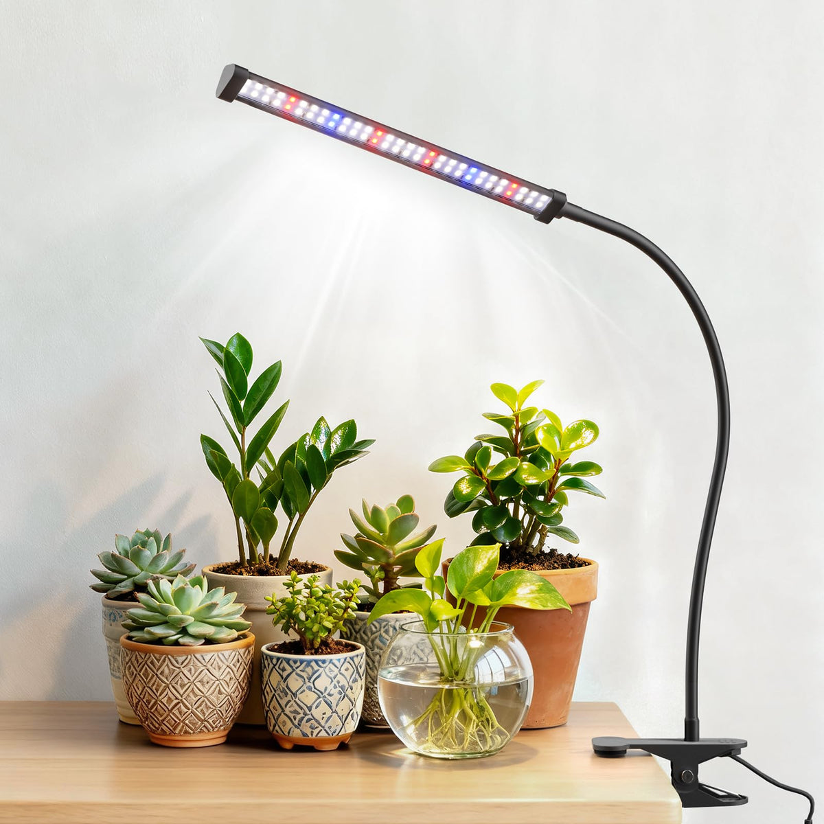 Sonamindary LED grow light clipped on a desk for steady indoor plant growth.
