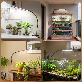 Sonamindary flicker-free light with high CRI for calm indoor spaces.