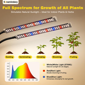 Sonamindary red blue white LEDs deliver spectrum for healthy foliage.