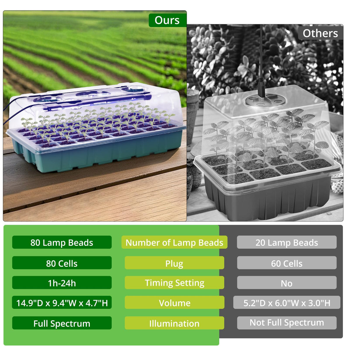 Sondiko grow light with dual lamps supports healthy seedlings