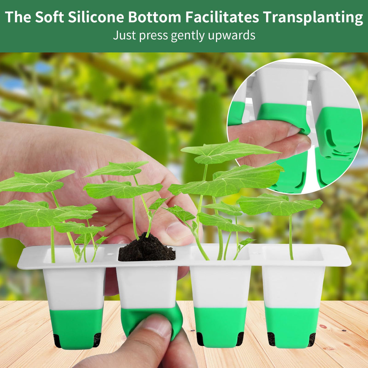 Sondiko seed starter tray showing five row partition for flexible planting