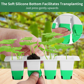 Sondiko seed starter tray showing five row partition for flexible planting