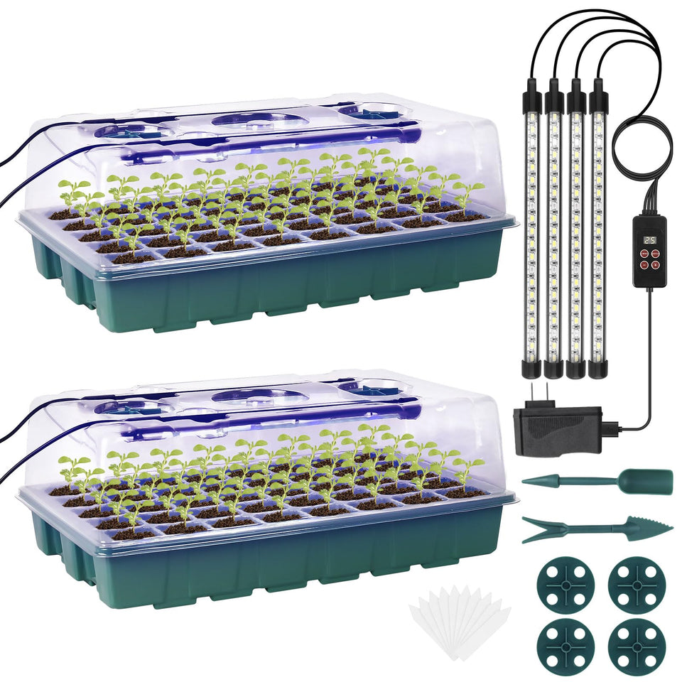 Sondiko seed starter tray with 80 cells ready for germination