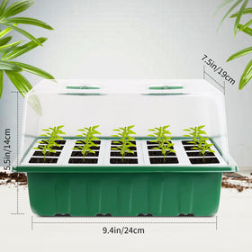 Sondiko seed starter tray bottom drainage holes prevent soggy roots