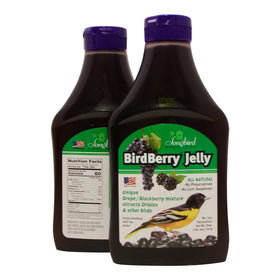 Birdberry Jelly application close-up to attract visiting birds.