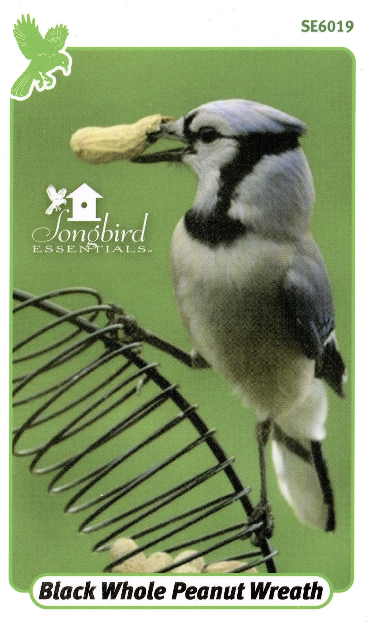 Blue Jays perch on Songbird Essentials wreath feeder, showcasing camouflage and natural feeding.