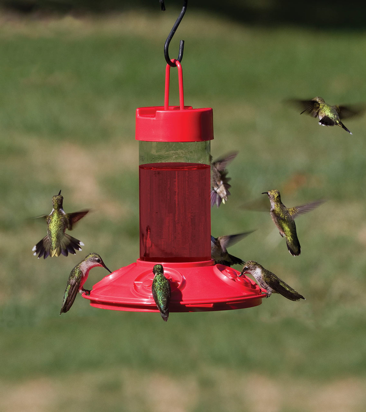 Removable two-piece base design of Songbird Essentials Dr Jb's Clean Feeder enables thorough interior cleaning.