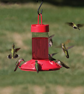 Removable two-piece base design of Songbird Essentials Dr Jb's Clean Feeder enables thorough interior cleaning.