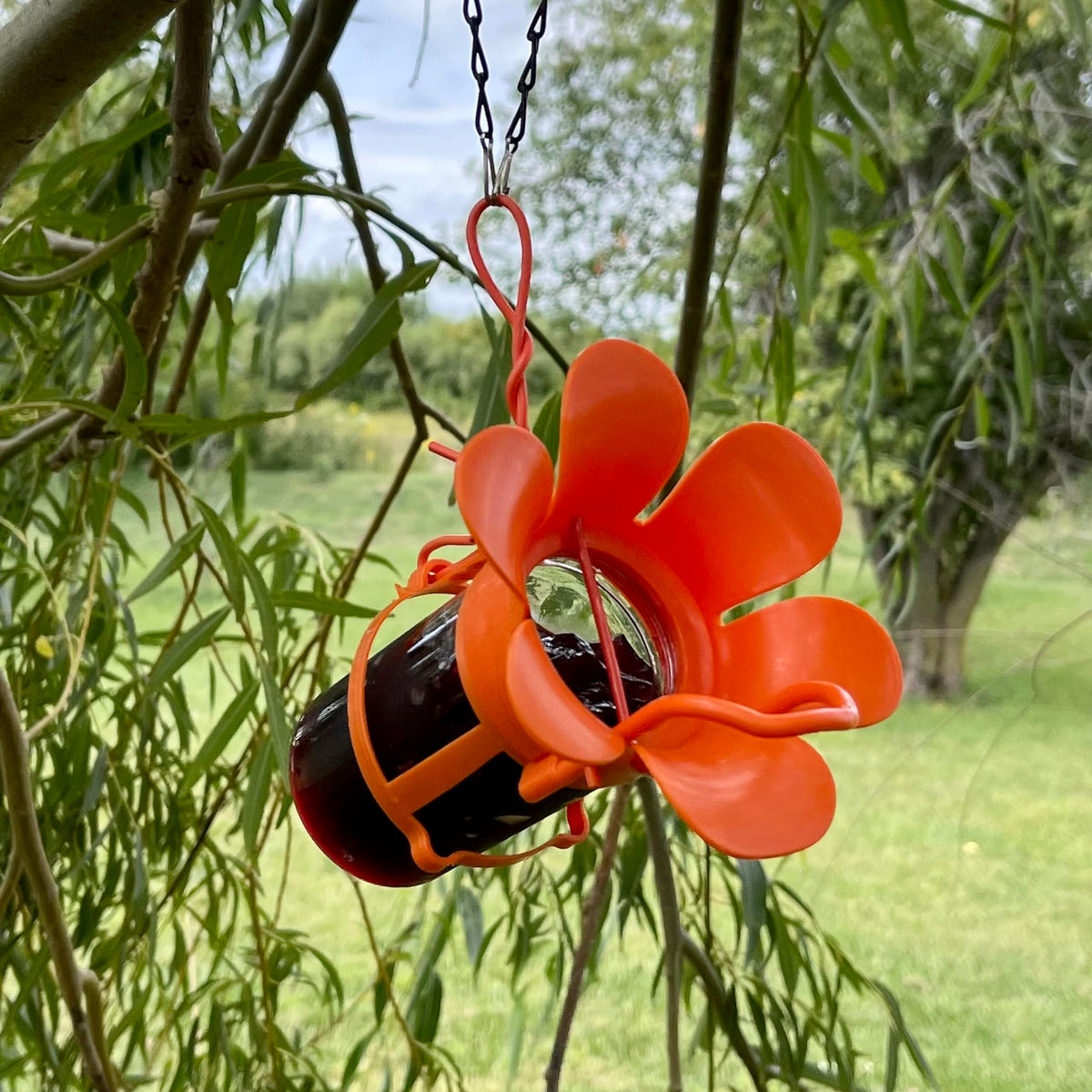 Songbird Essentials durable plastic jar enables easy cleaning and reuse.