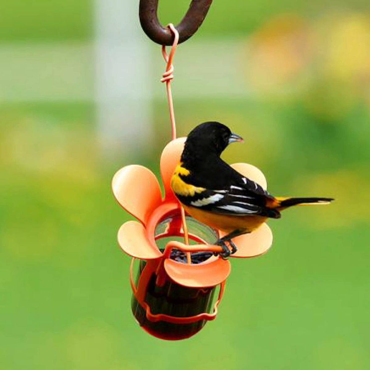 Songbird Essentials fits 10-12 oz jelly jars for versatile feeding options.