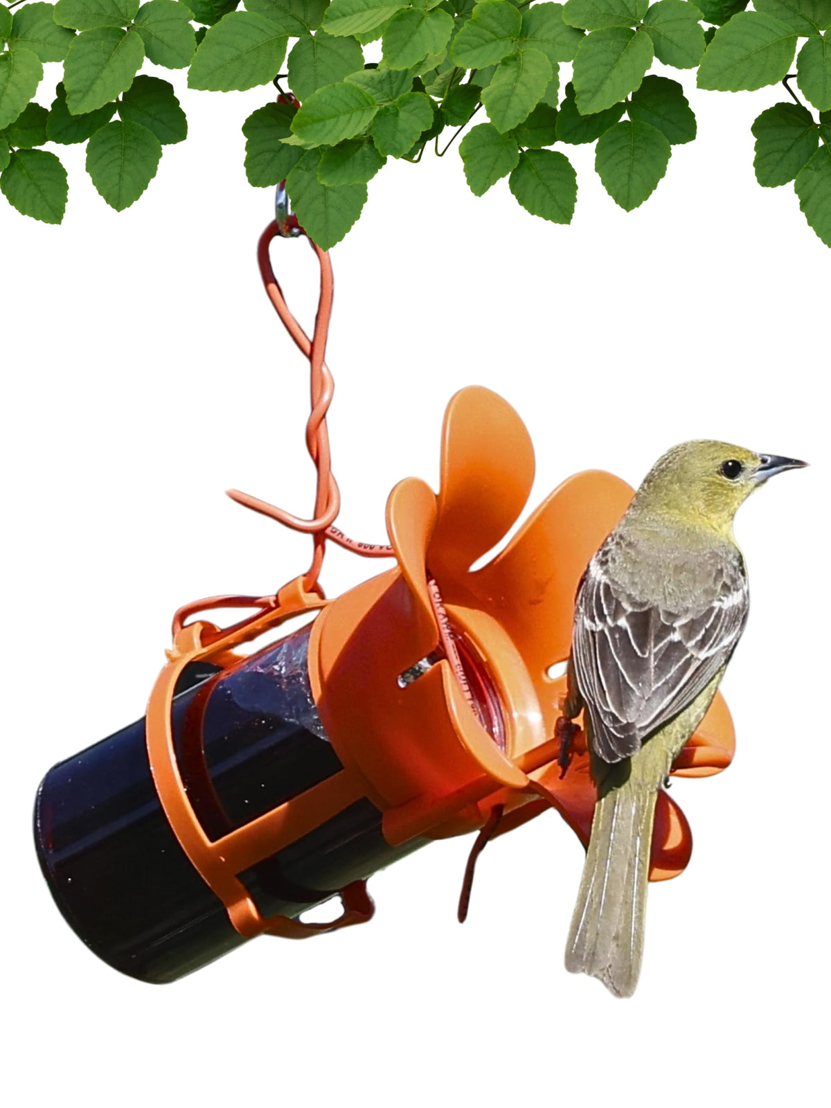 Songbird Essentials jelly bird feeder jar for quick, clean refills.