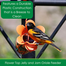 Songbird Essentials orange perch supports birds during feeding.