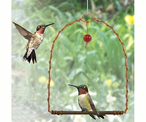 Songbird Essentials Sehhhums Copper Hummingbird Swing copper wire frame adds classic garden charm.