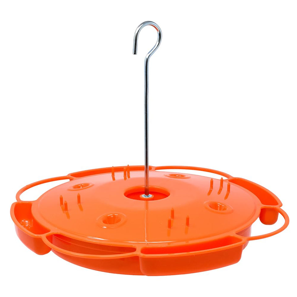 Songbird Essentials Ultimate Oriole Feeder front view showing 32 oz capacity for extended feeding