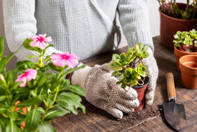 Songtaste cleaning brush to keep tools tidy and leaves dust-free