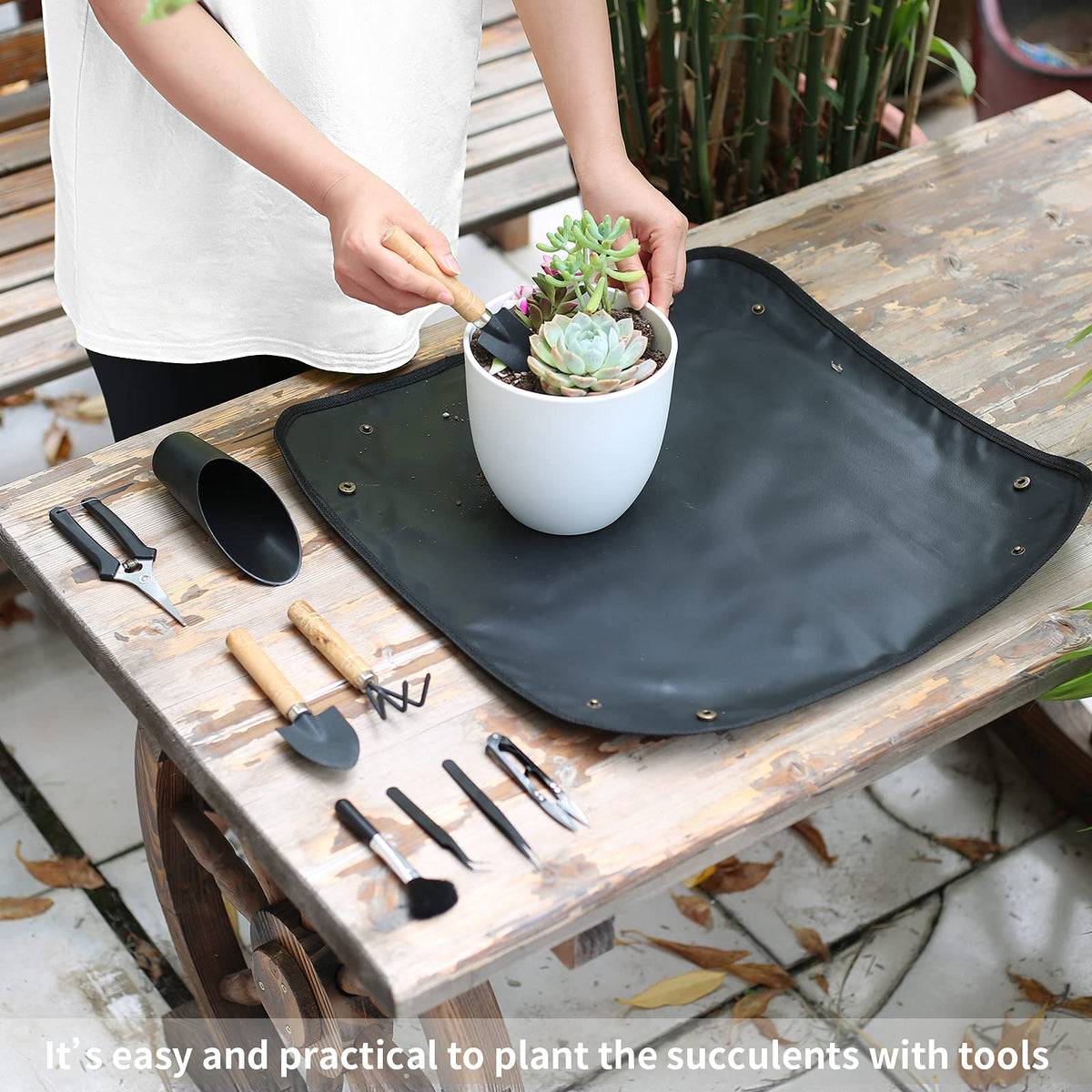 Songtaste curved-tip tweezers for precise potting and debris removal