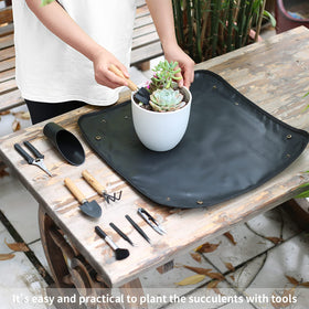 Songtaste curved-tip tweezers for precise potting and debris removal