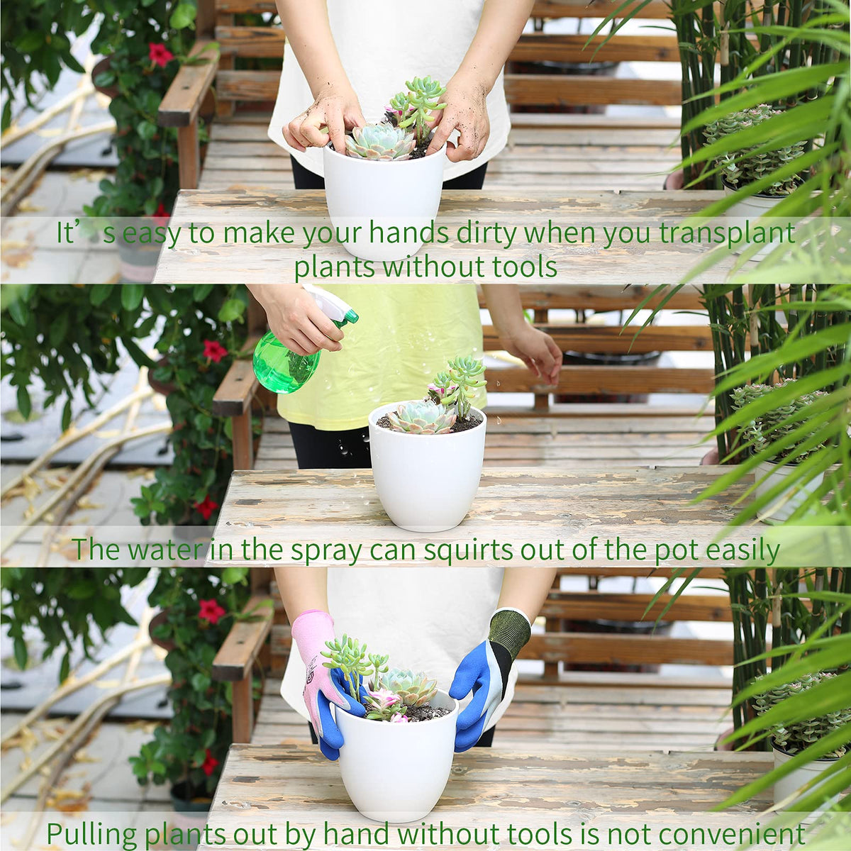 Songtaste pruning scissors for trimming small succulents