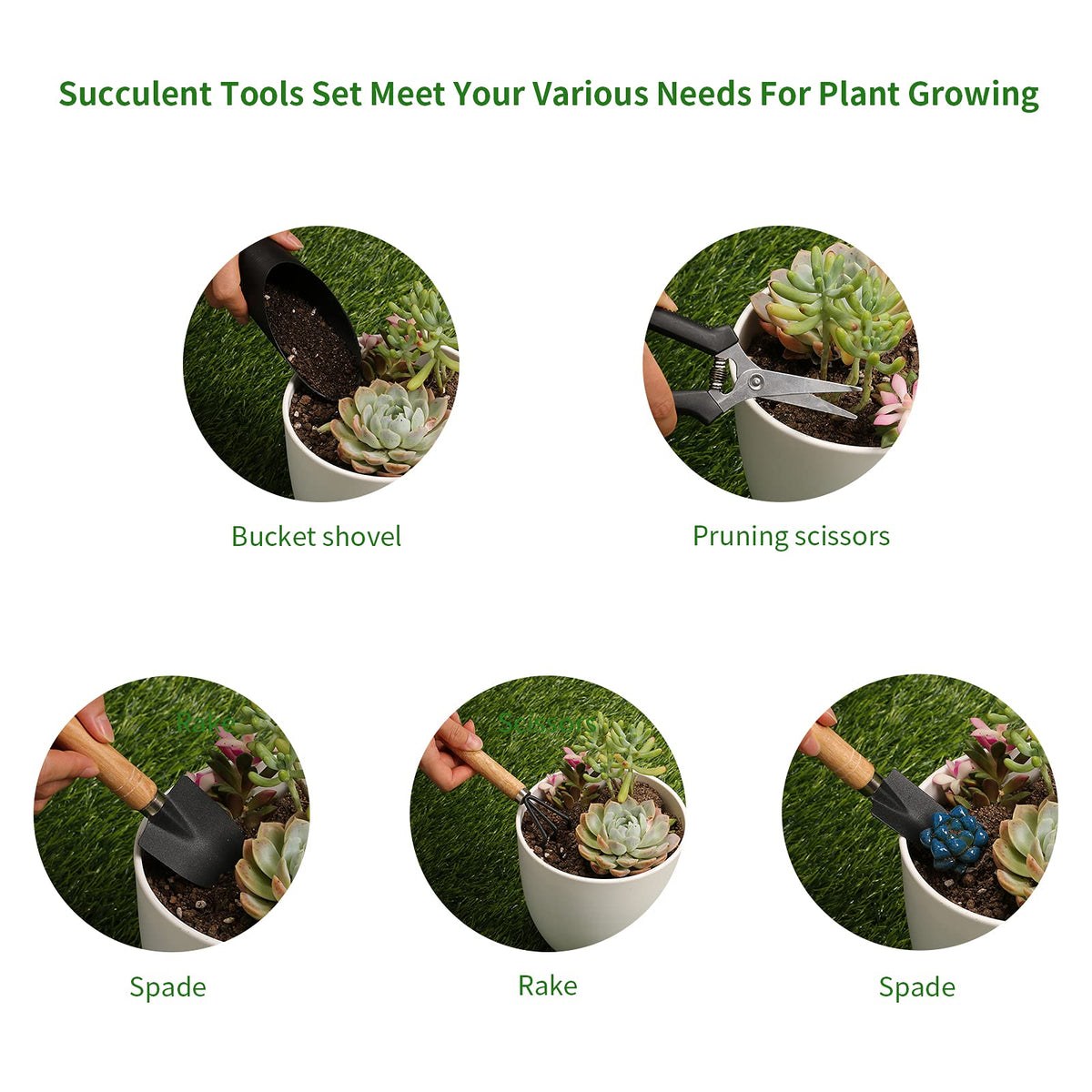 Songtaste succulent gardening kit ideal for desk spaces and bonsai care.