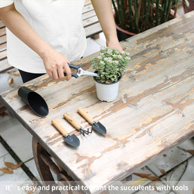 Songtaste wooden-handle spade and rake offer comfortable grip.