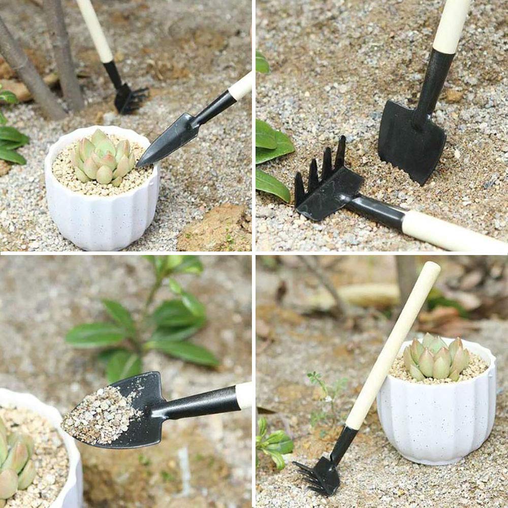 SONGZIMING curved-mouth drip bottle for controlled watering of potted plants.