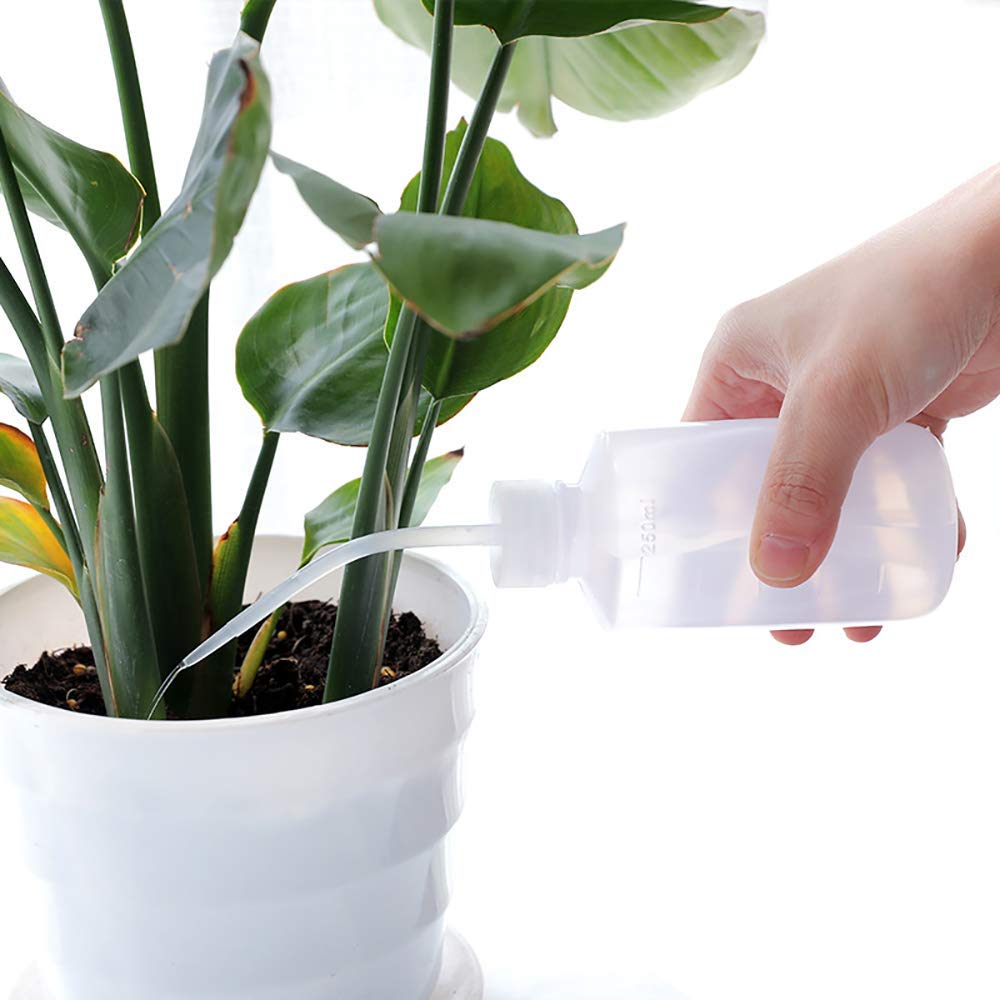 SONGZIMING curved-tip tweezers enabling delicate handling of tiny succulents.