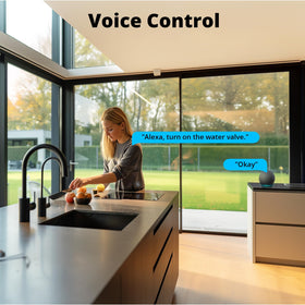 SONOFF SWV-NH outdoor timer mounted on wall.