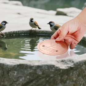SONSIL birdbath disk installs easily without tools for quick setup