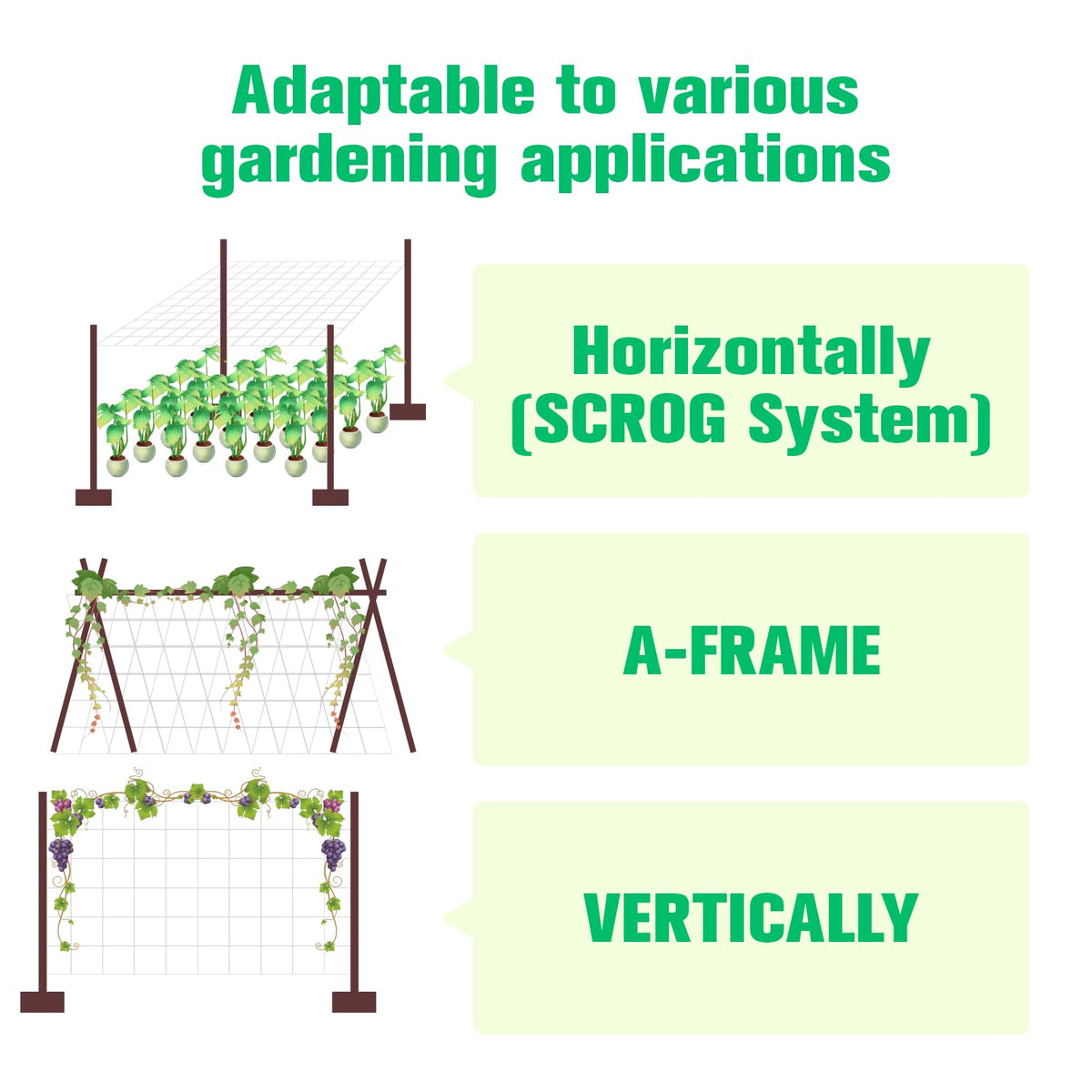 Soposuky trellis netting supports peas, beans, and grape vines