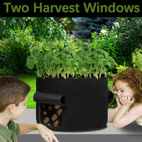 SORANGEUN 20-gallon bag supports potatoes and tomatoes in home gardens.
