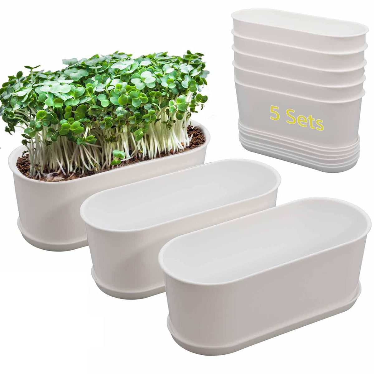 SORANGEUN 5-pack white herb planter box with drip trays on a tidy windowsill.