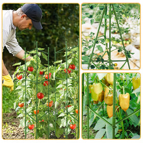 SORANGEUN 48-inch cages fit raised beds and pots.