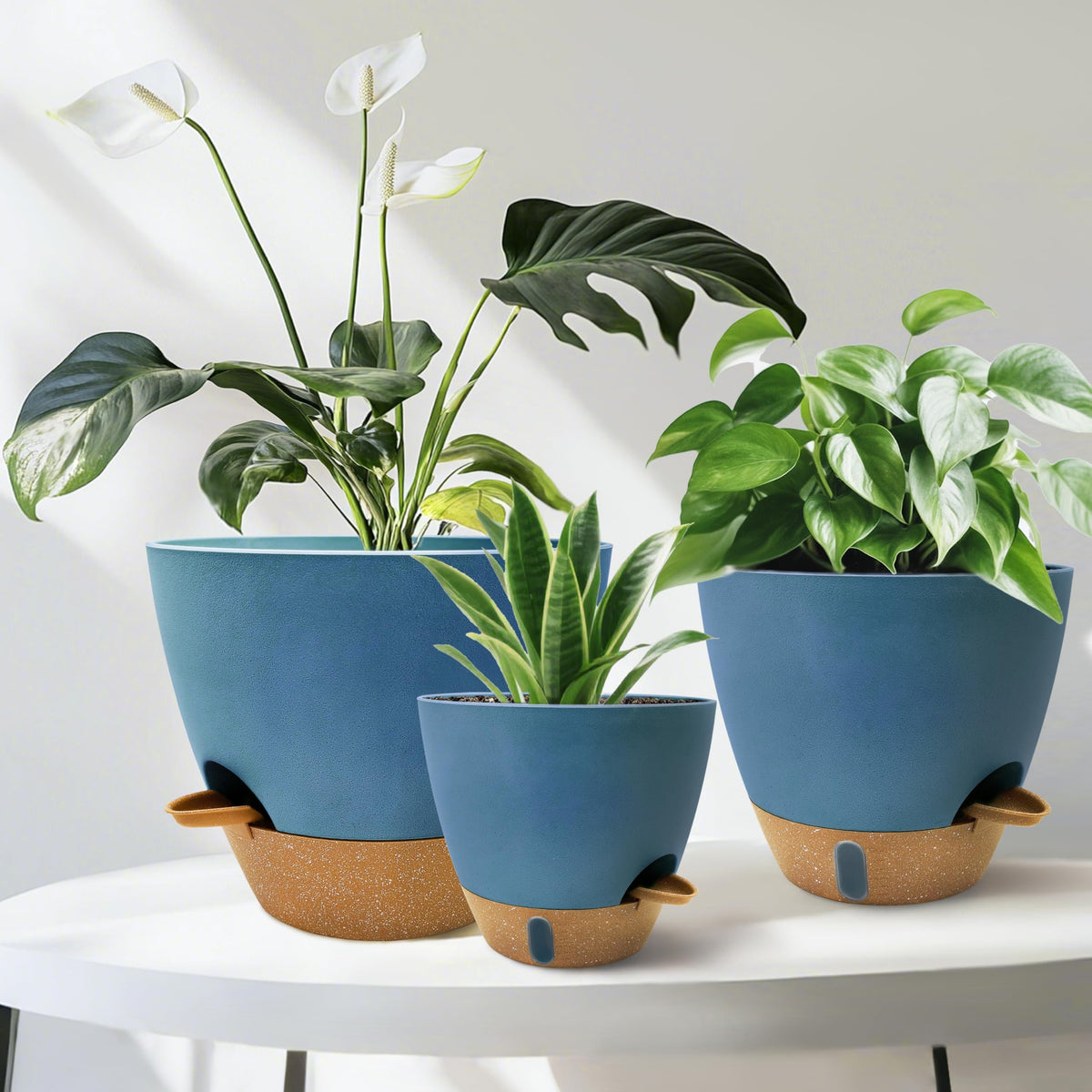 SORANGEUN drainage holes and bottom reservoir prevent overwatering