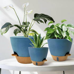 SORANGEUN drainage holes and bottom reservoir prevent overwatering