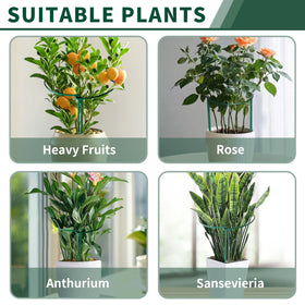 SORANGEUN multi-size plant stakes fit small pots to large vegetables