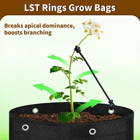 SORANGEUN breathable non-woven fabric grow bag promoting healthy roots.