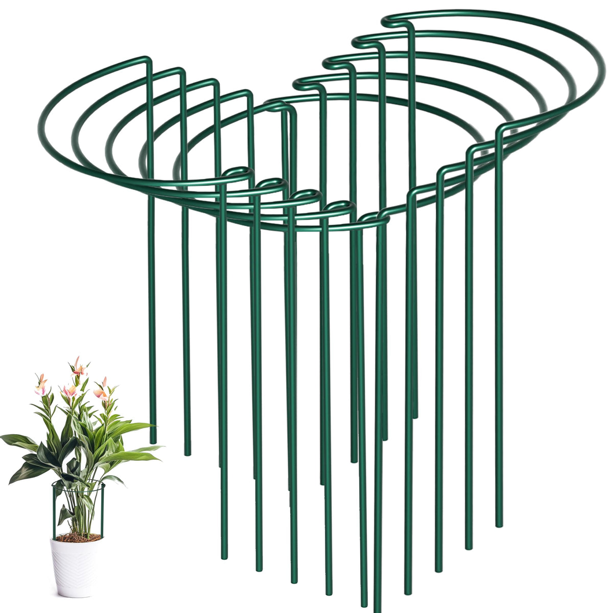 SORANGEUN peony cages 10-pack provide easy assembly for sturdy flowering support