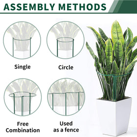 SORANGEUN versatile plant supports for roses and climbing flowers